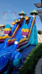 Resized Screenshot 20240506 183821 Picsart 1715046364 Pop-Slickle Beach - Giant 19ft Water Slide for rent