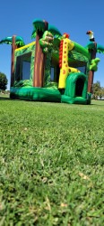 20240926 133026 1727485527 Jungle House- bounce house for rent 15x15 (with free basketb