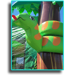 Jungle House: 15x15 XL Bounce House